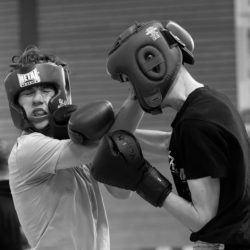 Coupe de Bretagne Boxe