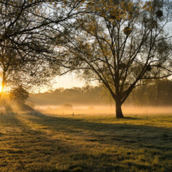 Grand Pas avril 2025