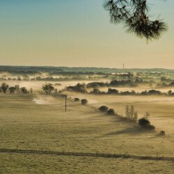 Grand Pas avril 2025